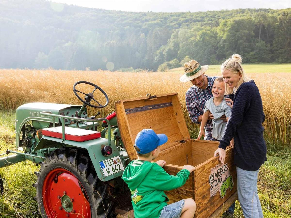 An Webers Stoag Villa Geisingen Kültér fotó